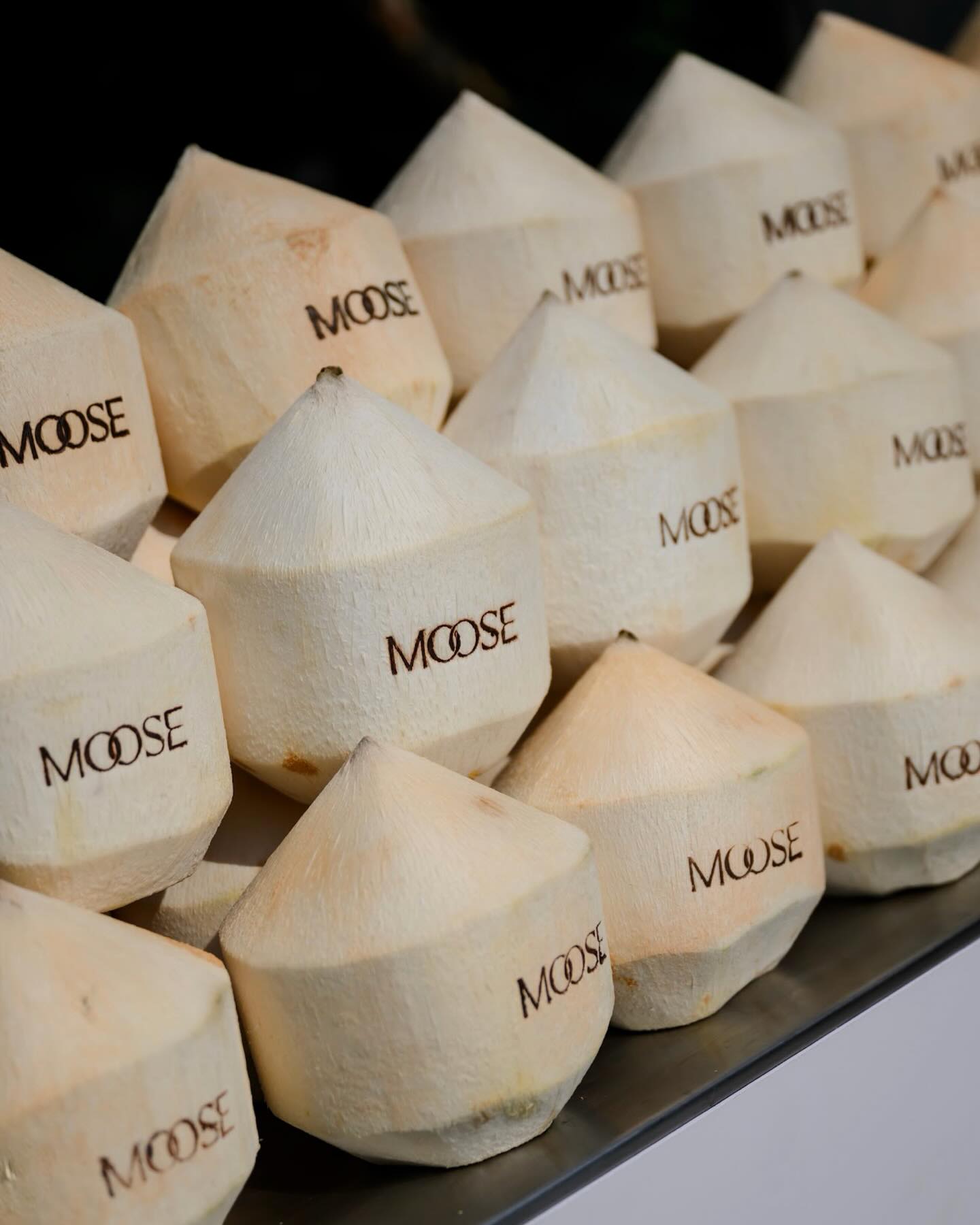 กวาง - วรรณปิยะ ออมสินนพกุล