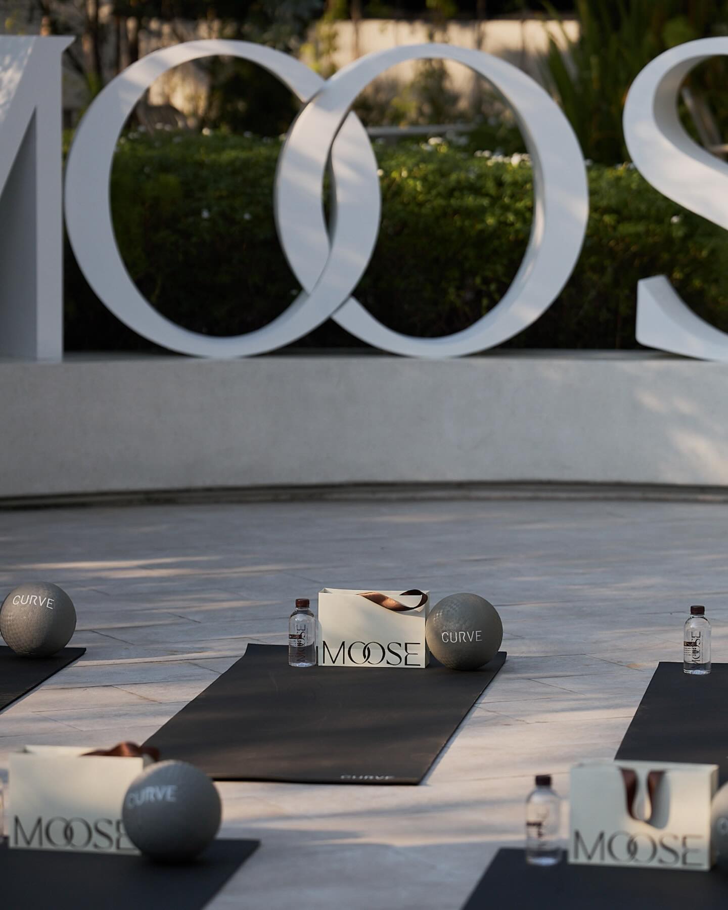 กวาง - วรรณปิยะ ออมสินนพกุล