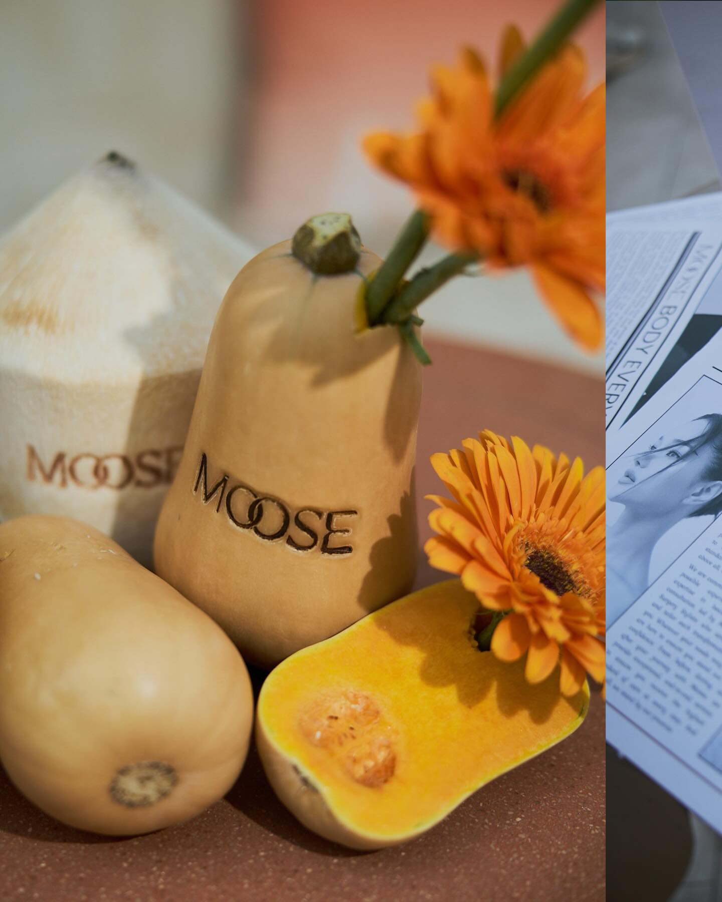 กวาง - วรรณปิยะ ออมสินนพกุล