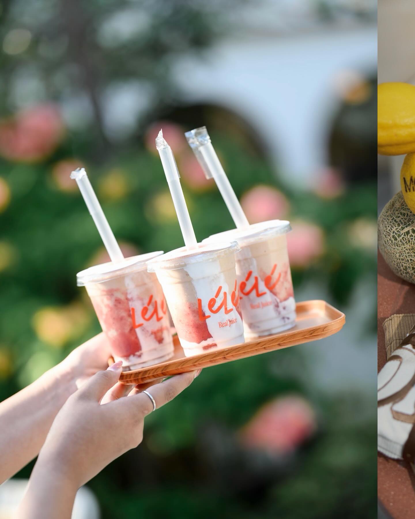 กวาง - วรรณปิยะ ออมสินนพกุล