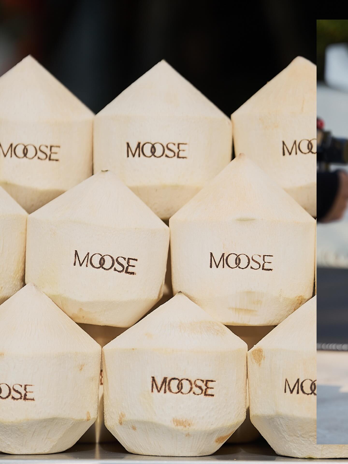 กวาง - วรรณปิยะ ออมสินนพกุล