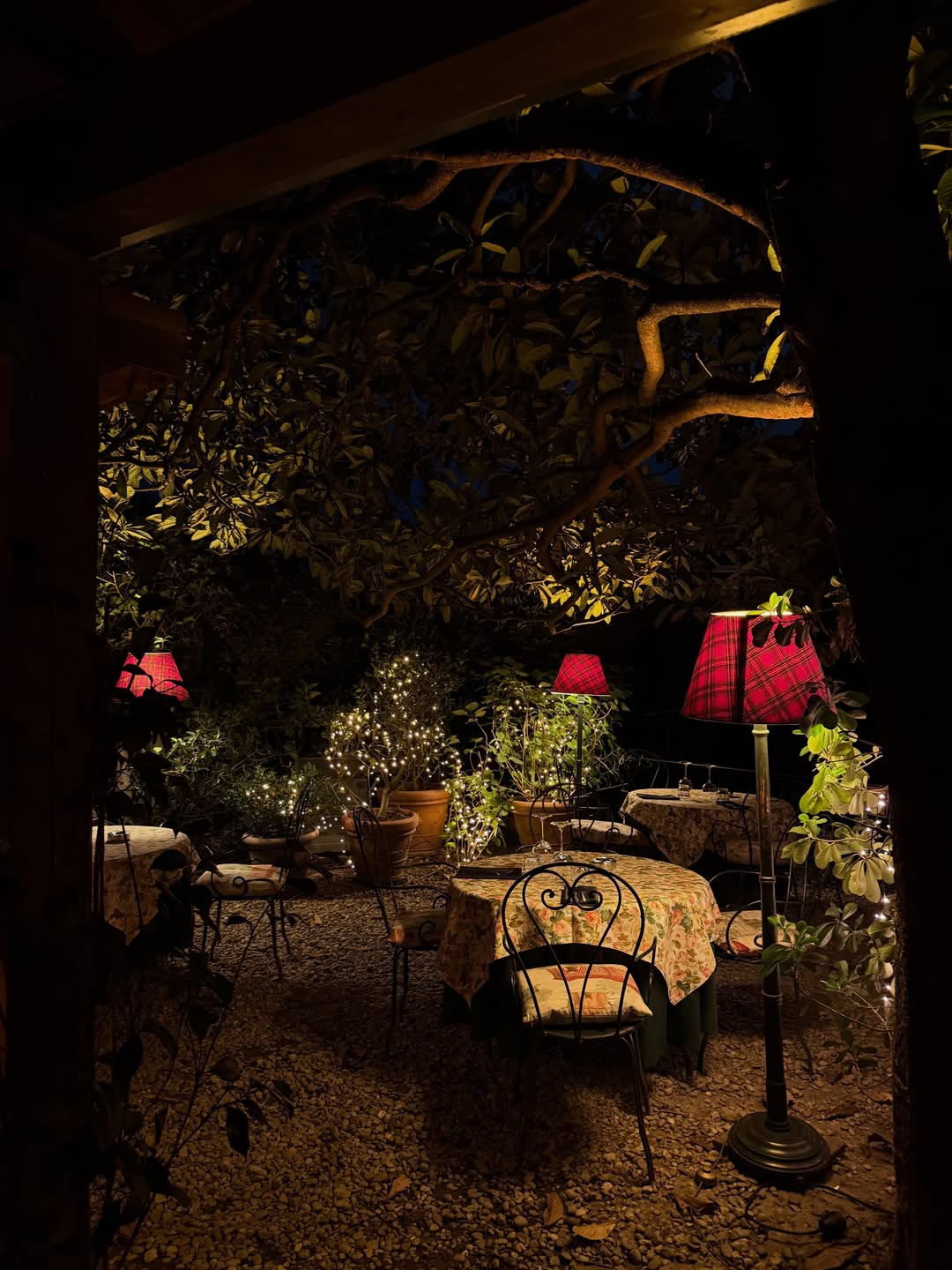 กวาง - วรรณปิยะ ออมสินนพกุล