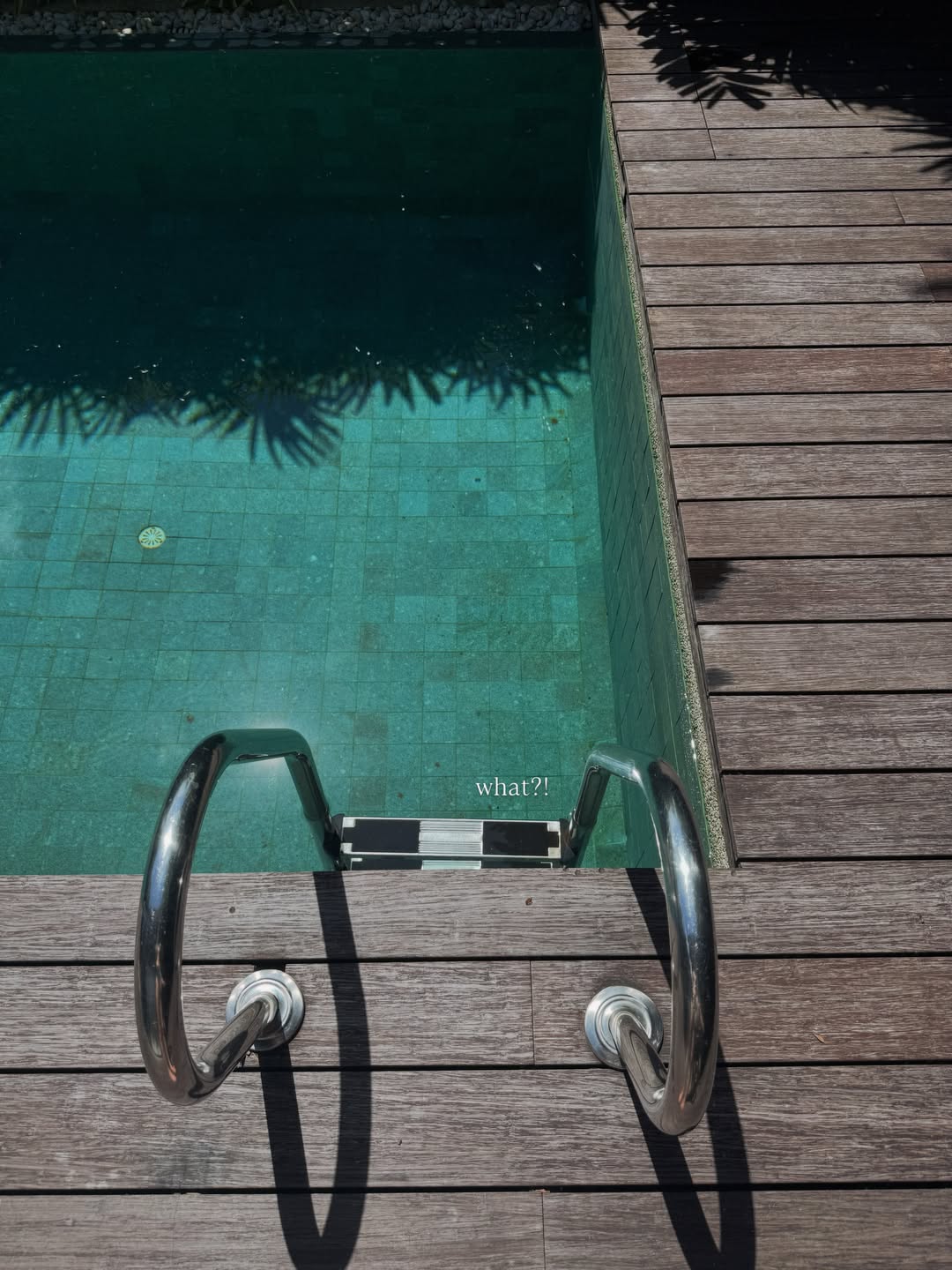 กวาง - วรรณปิยะ ออมสินนพกุล