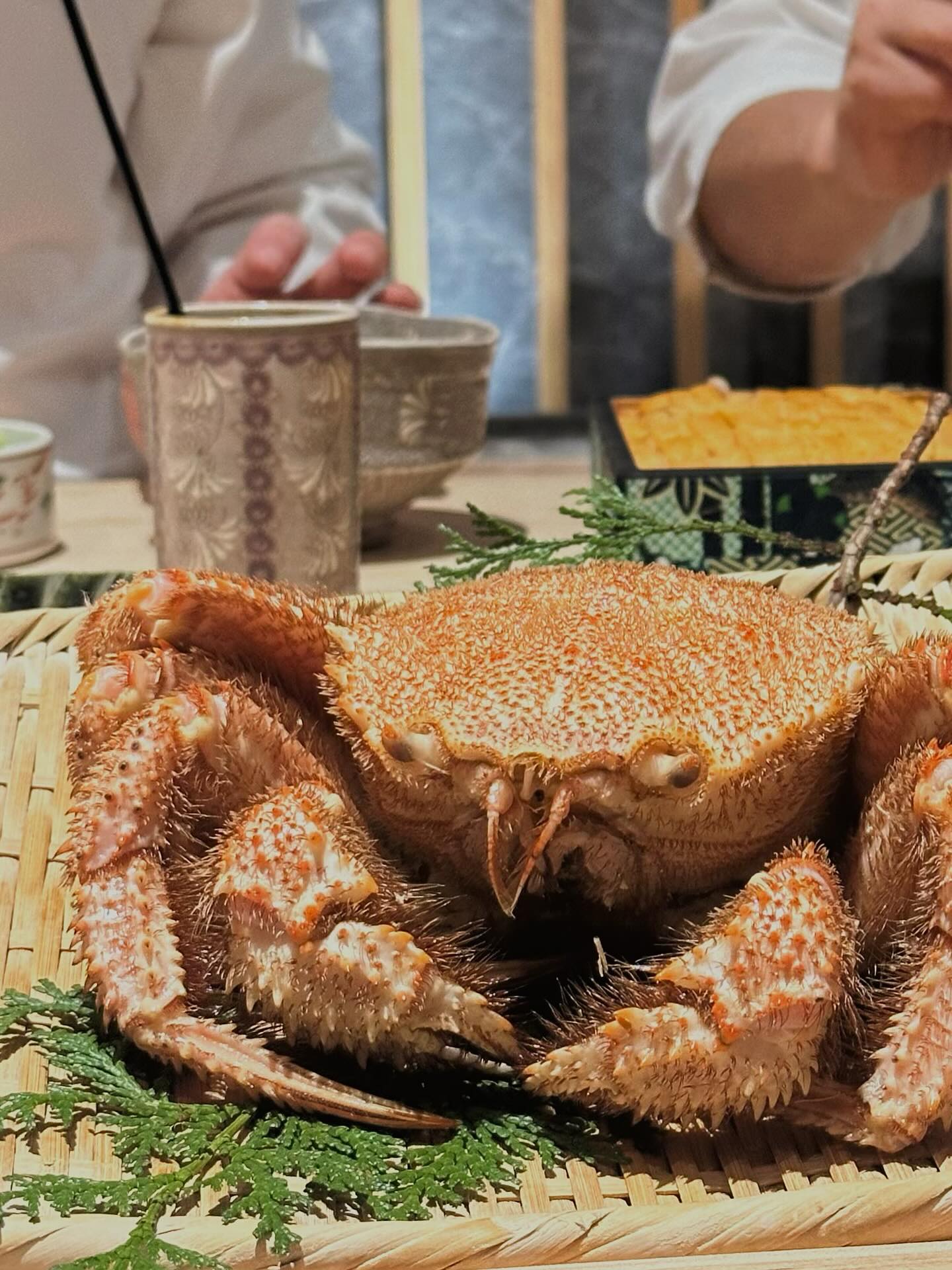 ฝ้าย - เวฬุรีย์ ดิษยบุตร