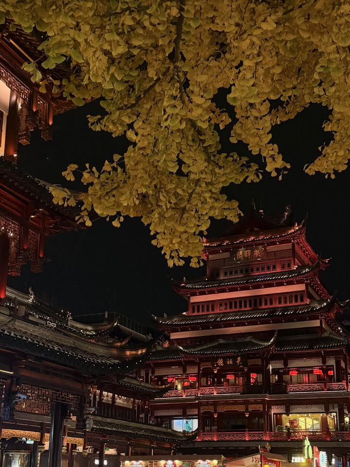 ฝ้าย - เวฬุรีย์ ดิษยบุตร