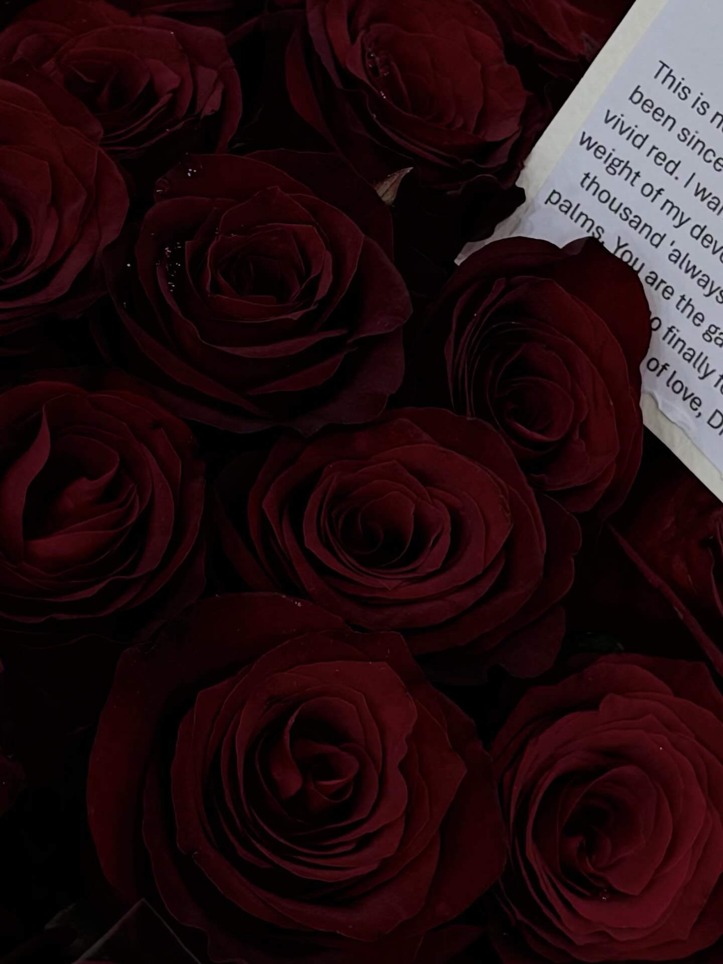 ฝ้าย - เวฬุรีย์ ดิษยบุตร