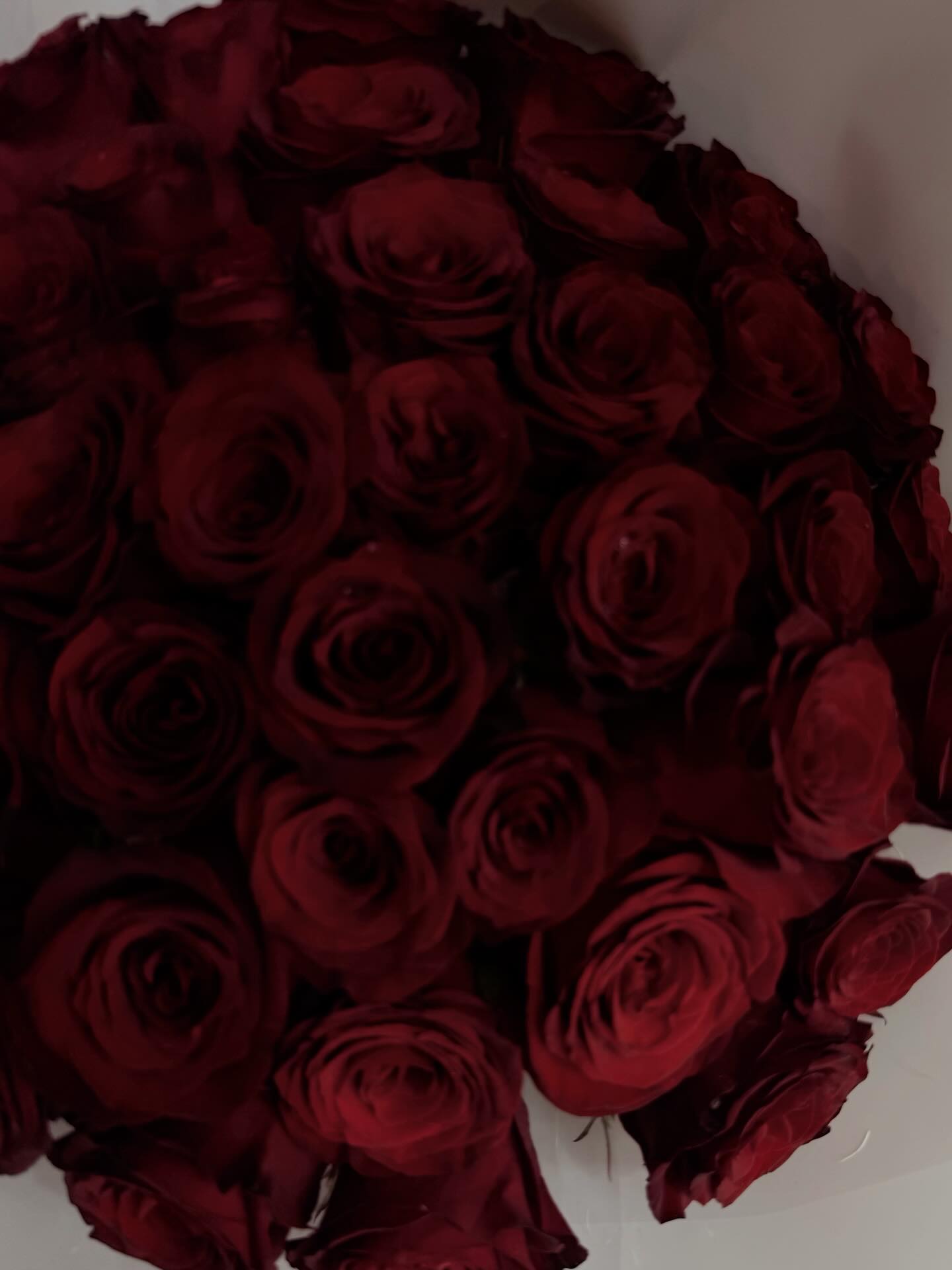 ฝ้าย - เวฬุรีย์ ดิษยบุตร