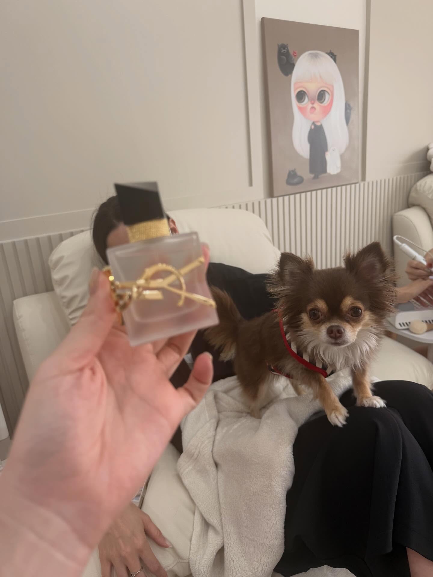 ฝ้าย - เวฬุรีย์ ดิษยบุตร