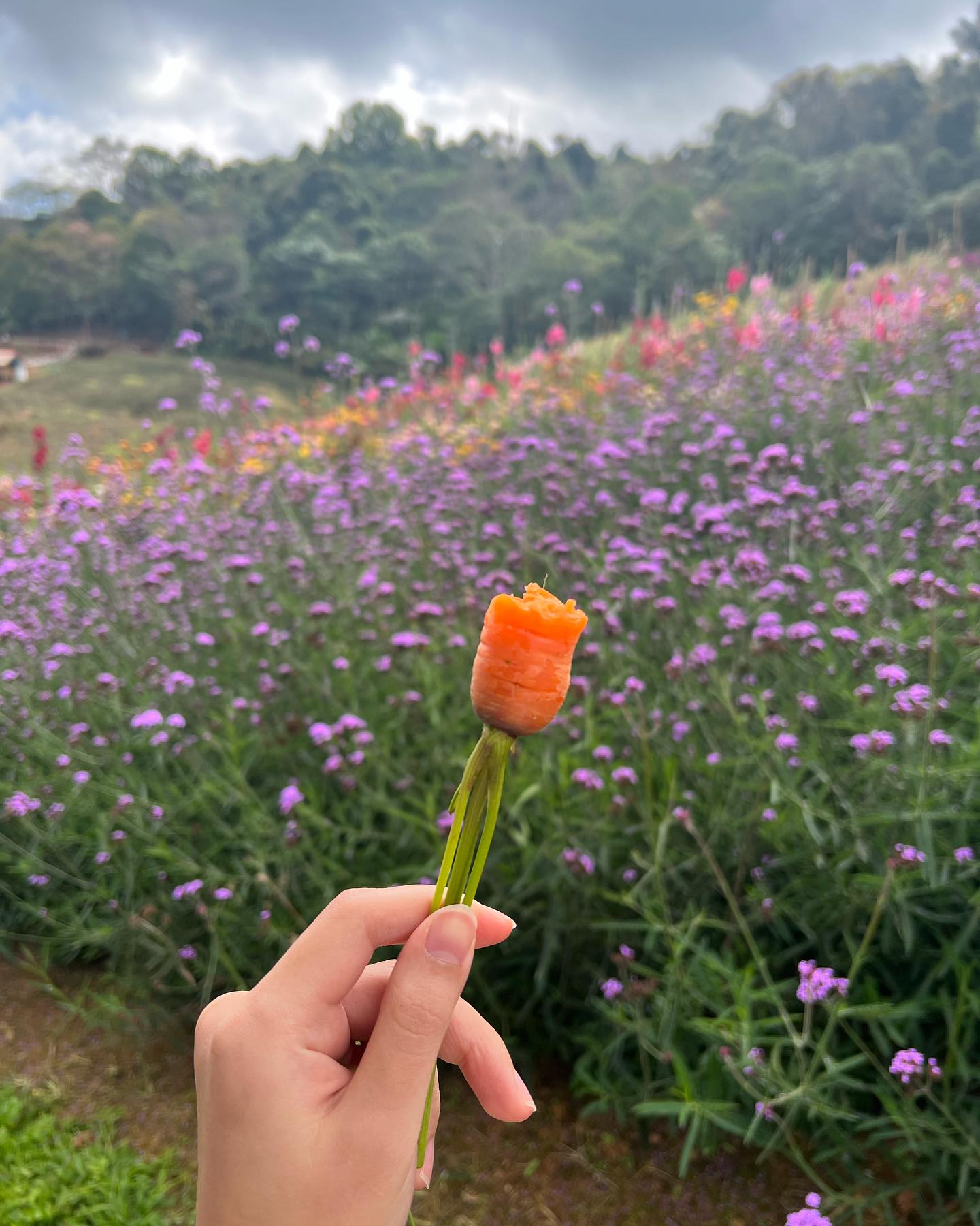 มิ้นท์ - รัญชน์รวี เอื้อกูลวราวัตร