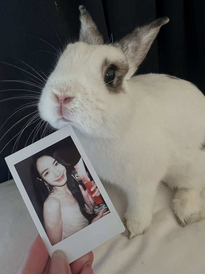 มิ้นท์ - รัญชน์รวี เอื้อกูลวราวัตร