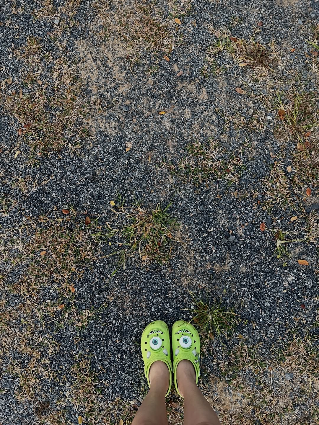 มิ้นท์ - รัญชน์รวี เอื้อกูลวราวัตร