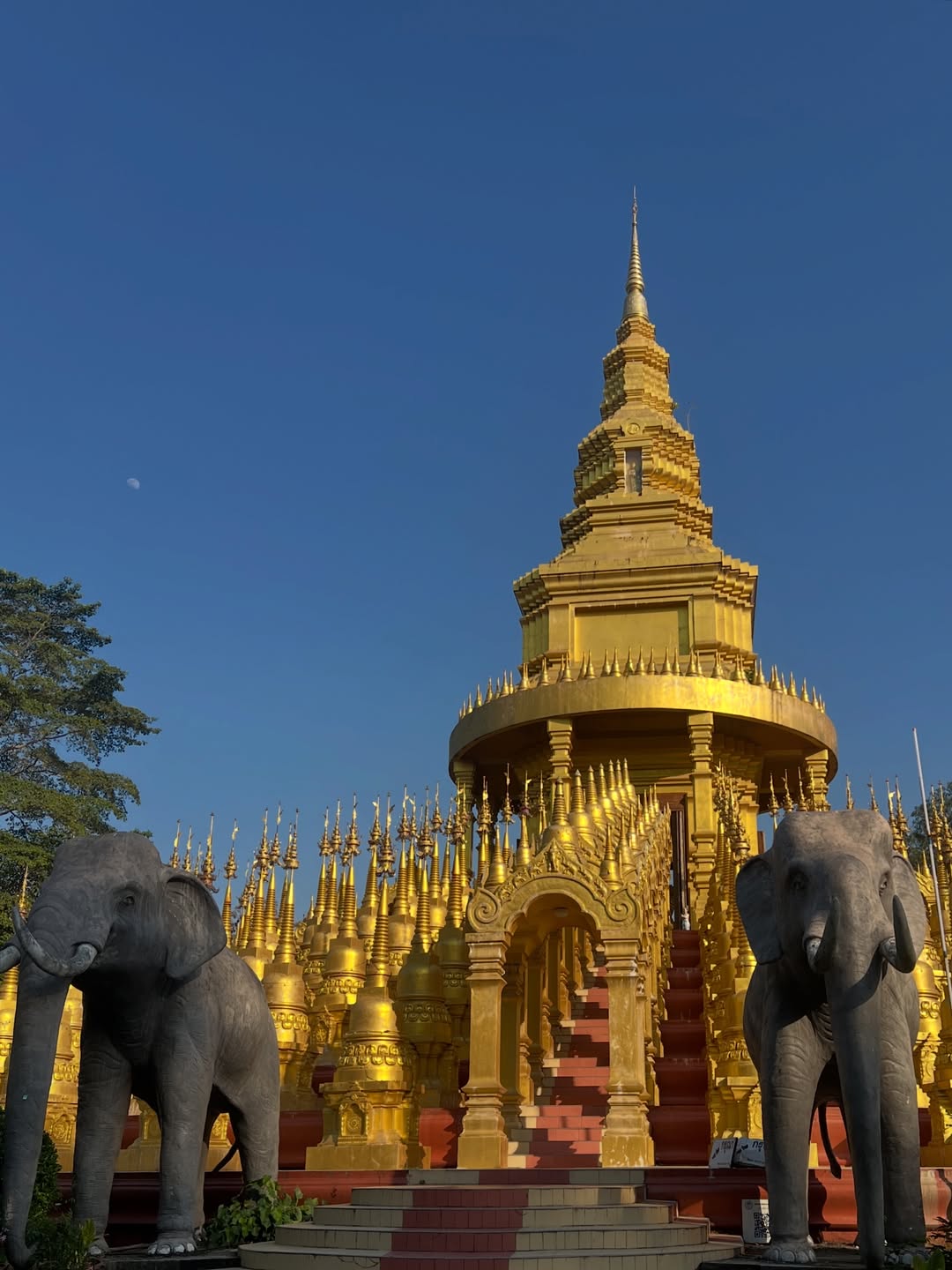 มิ้นท์ - รัญชน์รวี เอื้อกูลวราวัตร