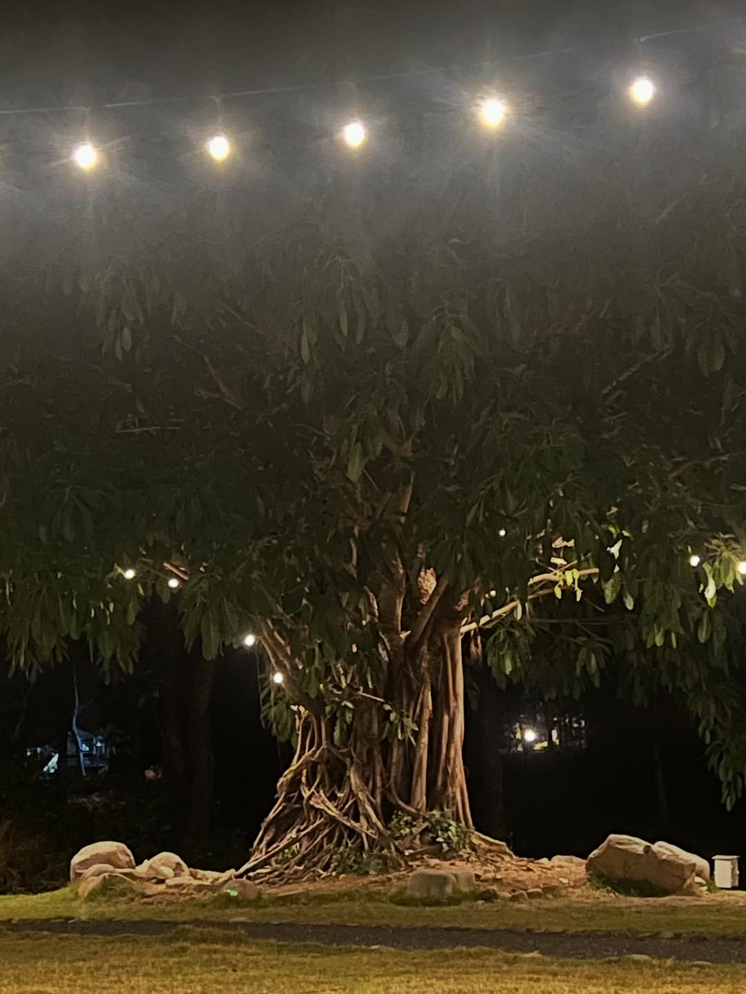 มิ้นท์ - รัญชน์รวี เอื้อกูลวราวัตร