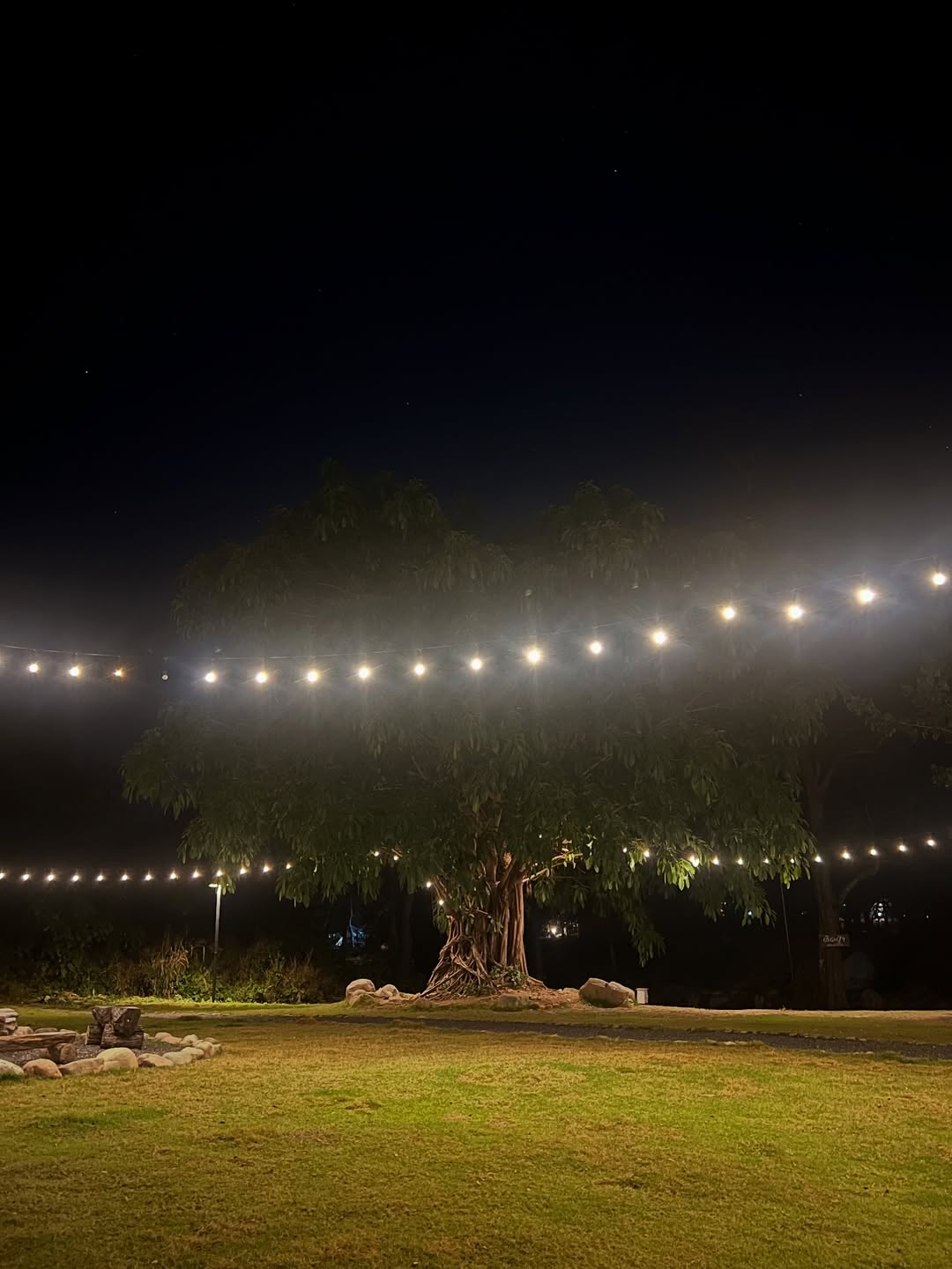 มิ้นท์ - รัญชน์รวี เอื้อกูลวราวัตร