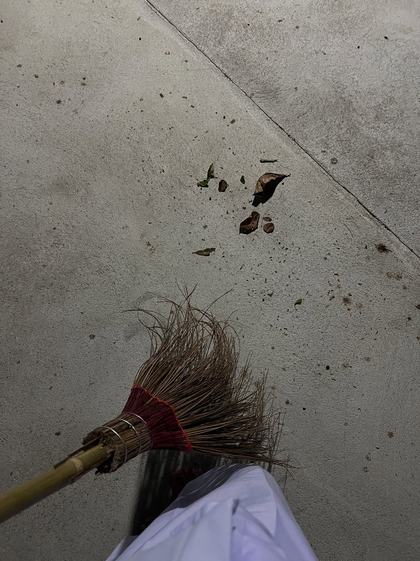 มิ้นท์ - รัญชน์รวี เอื้อกูลวราวัตร