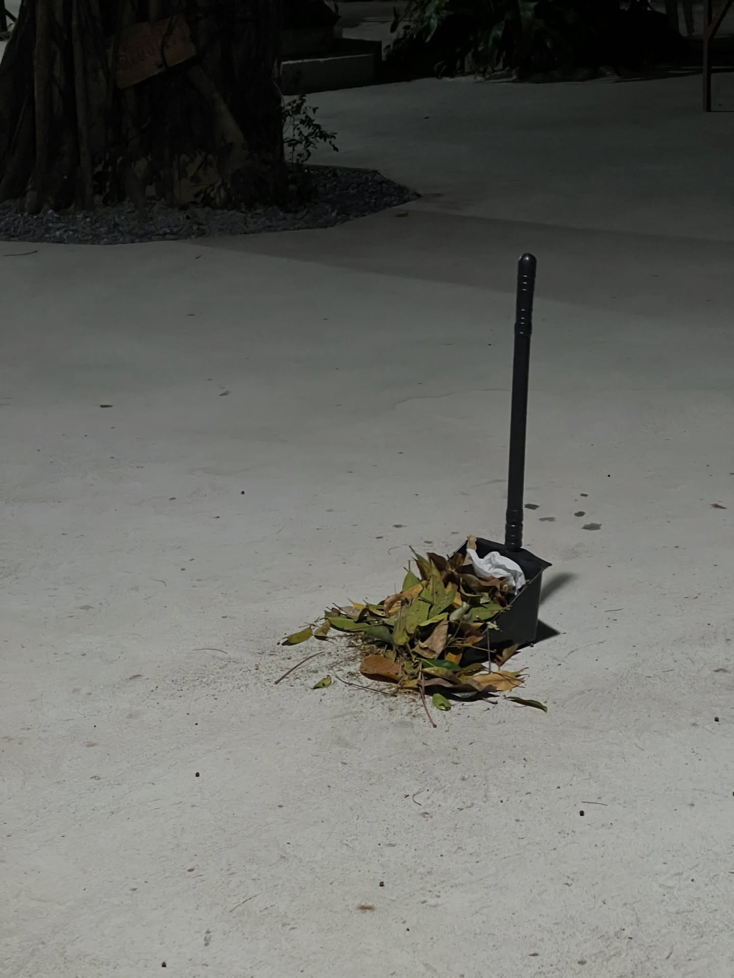 มิ้นท์ - รัญชน์รวี เอื้อกูลวราวัตร