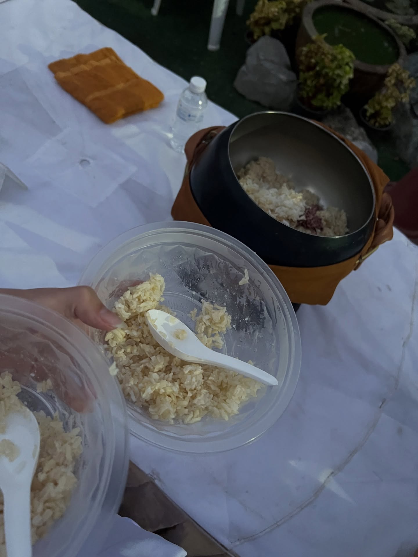 มิ้นท์ - รัญชน์รวี เอื้อกูลวราวัตร