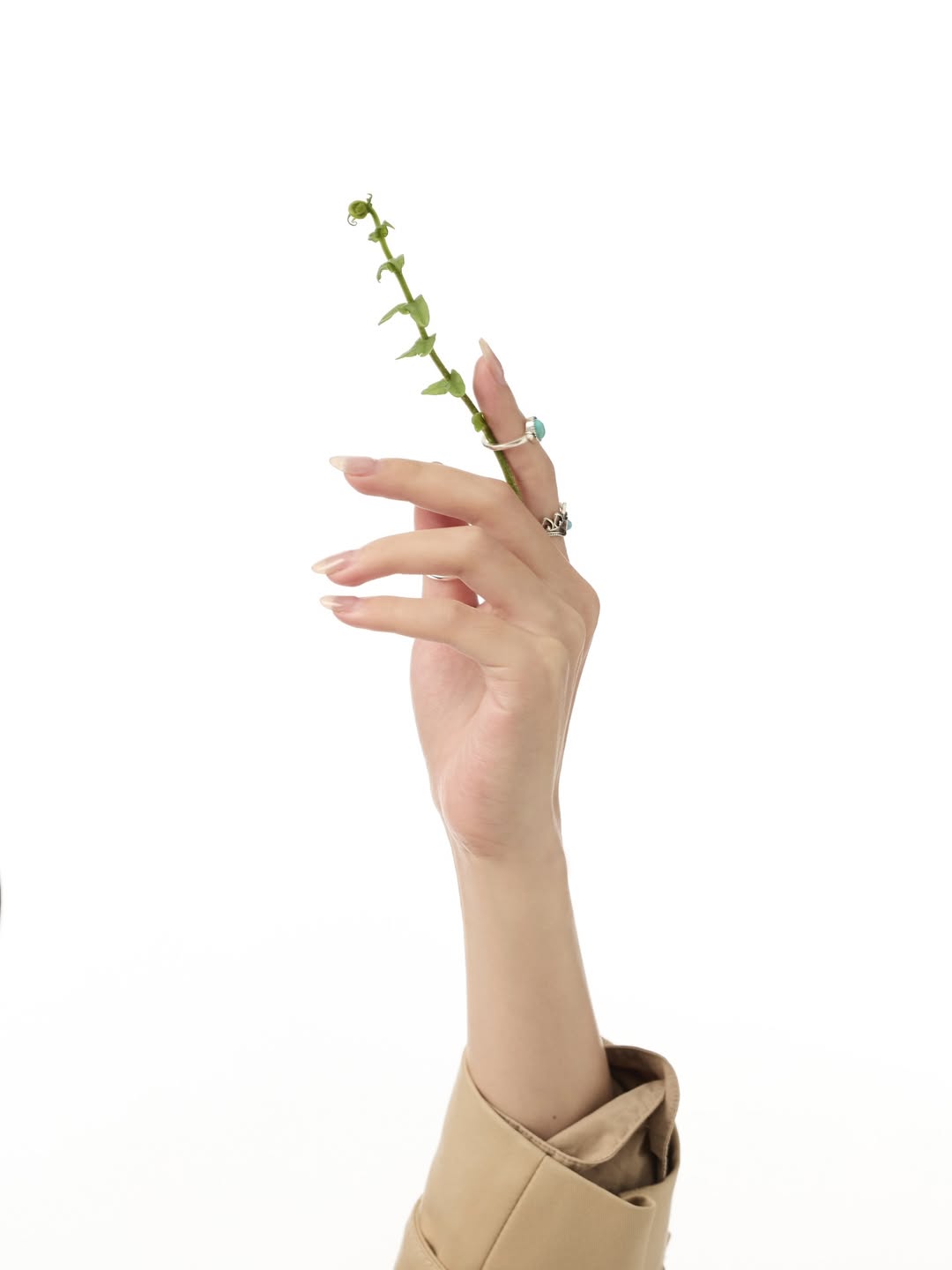 มิ้นท์ - รัญชน์รวี เอื้อกูลวราวัตร