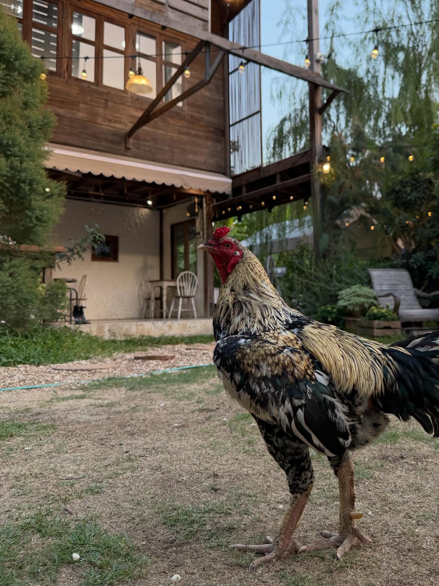 มิ้นท์ - รัญชน์รวี เอื้อกูลวราวัตร