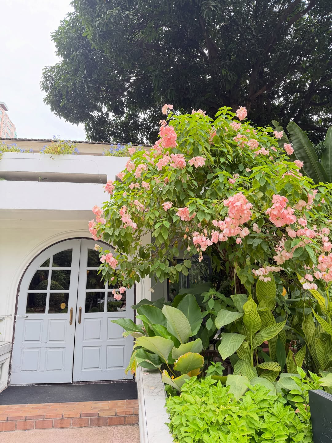 มิ้นท์ - รัญชน์รวี เอื้อกูลวราวัตร