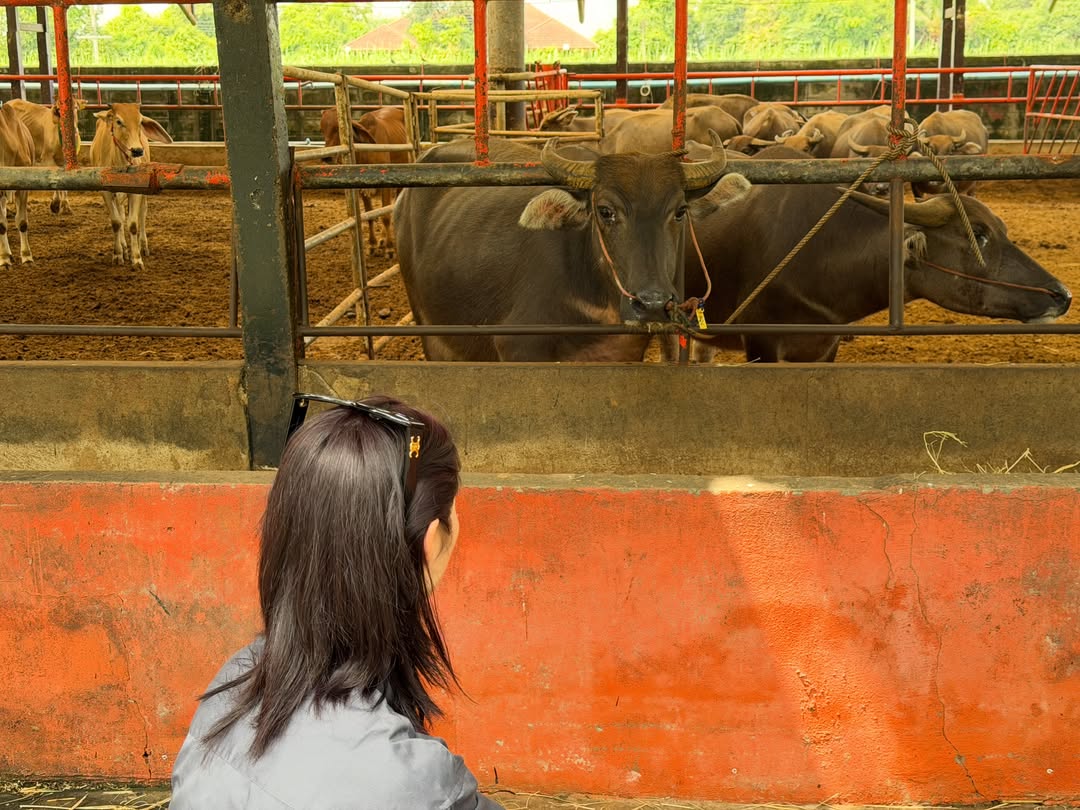 มิ้นท์ - รัญชน์รวี เอื้อกูลวราวัตร