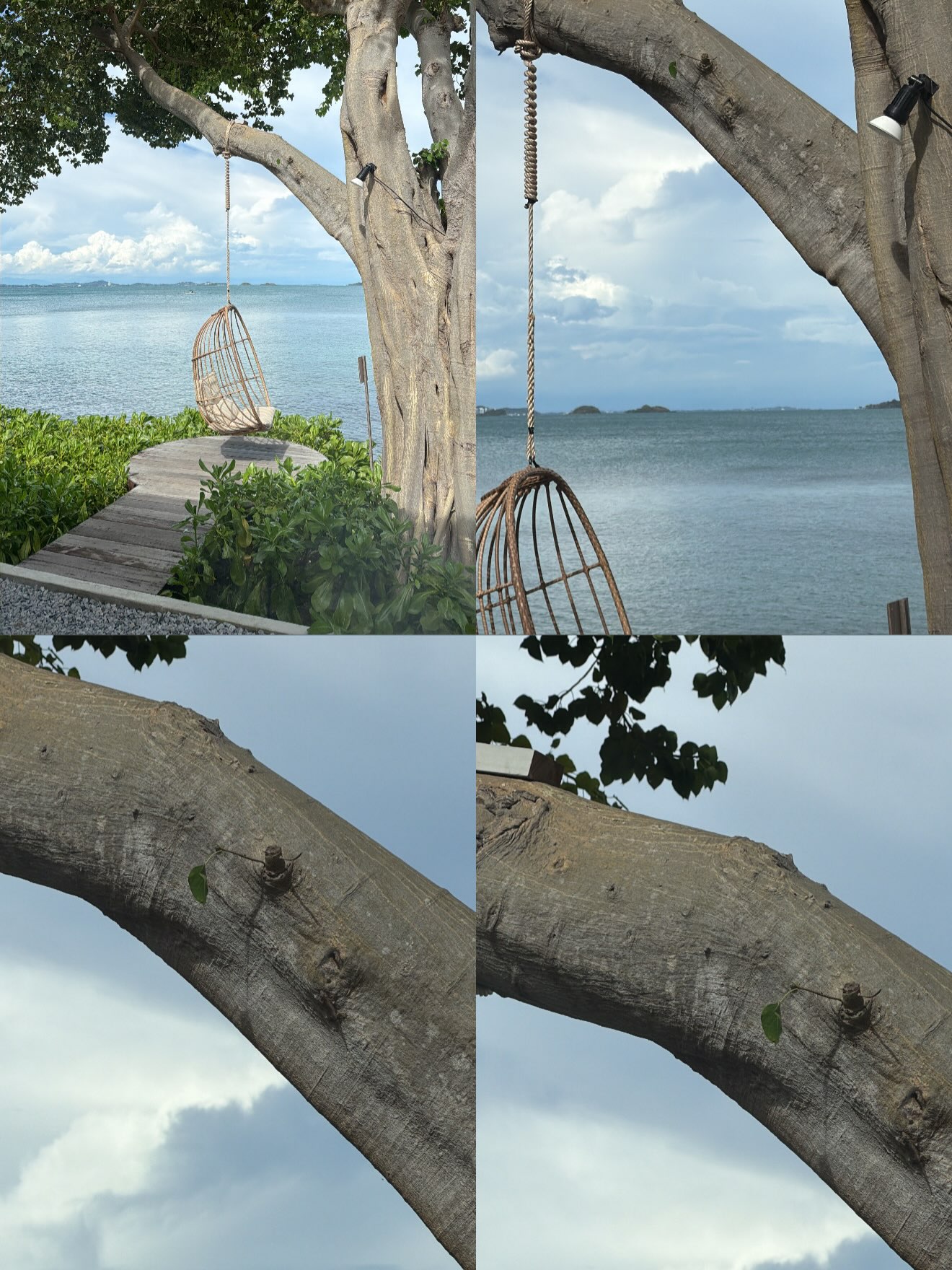 มิ้นท์ - รัญชน์รวี เอื้อกูลวราวัตร