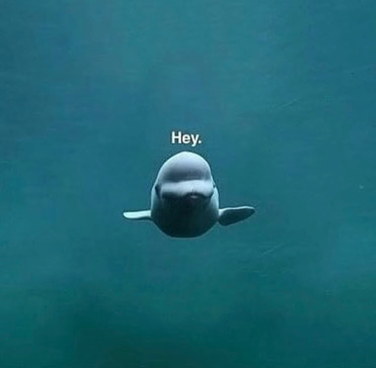 กัน - อรรถพันธ์ พูลสวัสดิ์