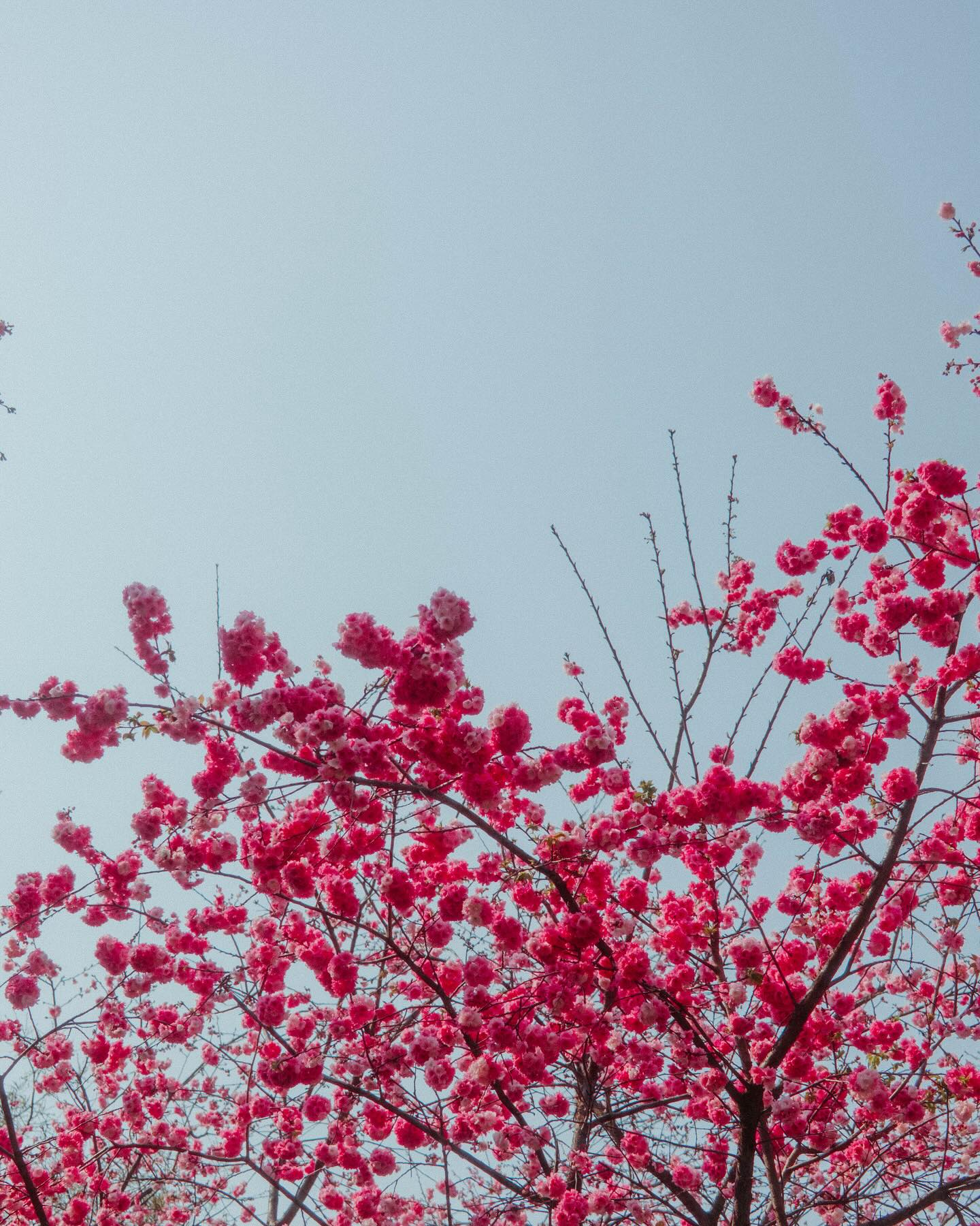 จูเนียร์ - กรวิชญ์ สูงกิจบูลย์