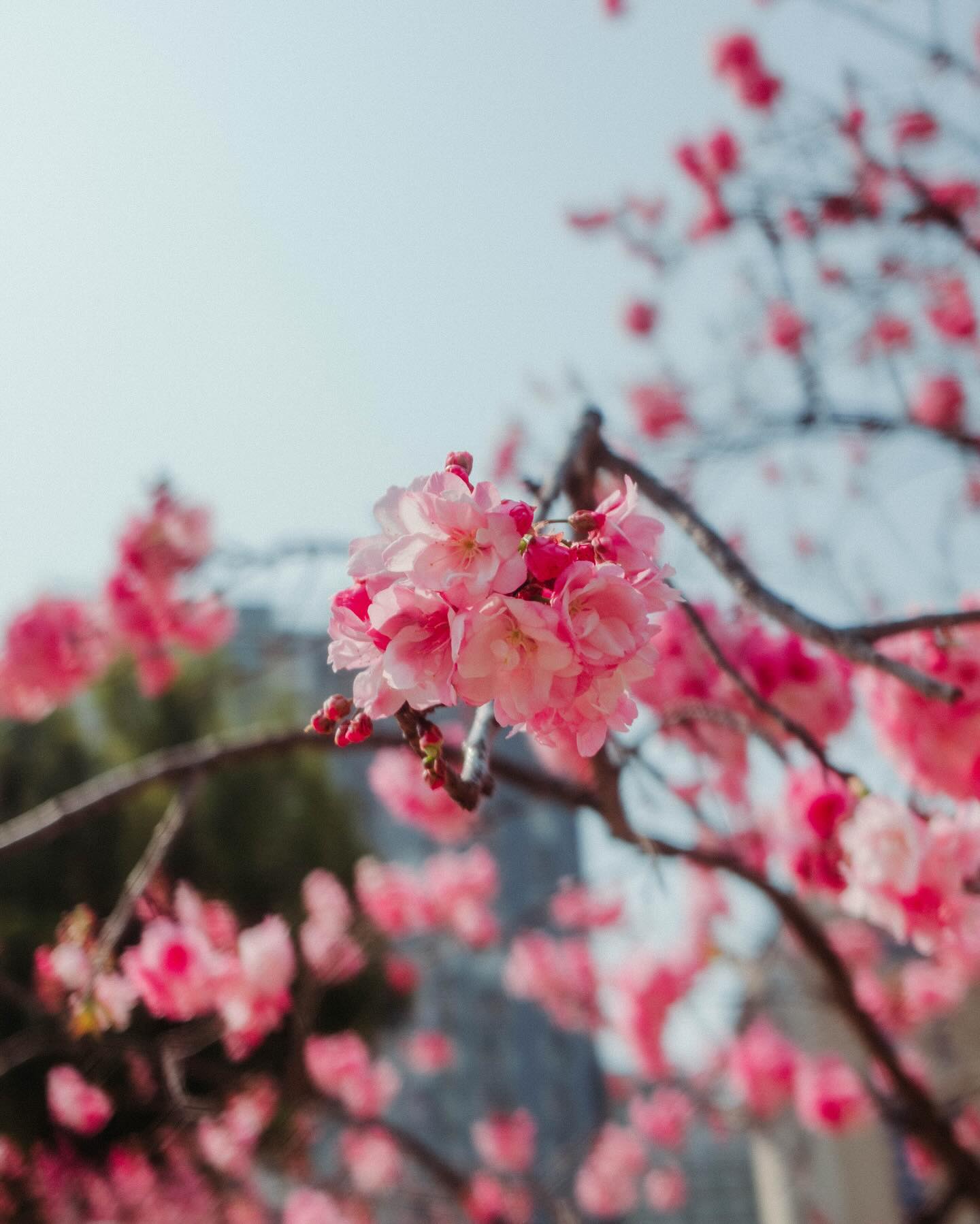 จูเนียร์ - กรวิชญ์ สูงกิจบูลย์
