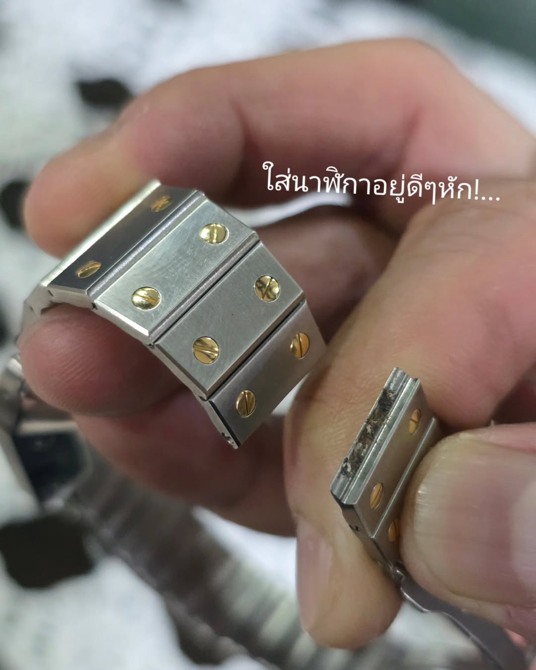 จูเนียร์ - กรวิชญ์ สูงกิจบูลย์