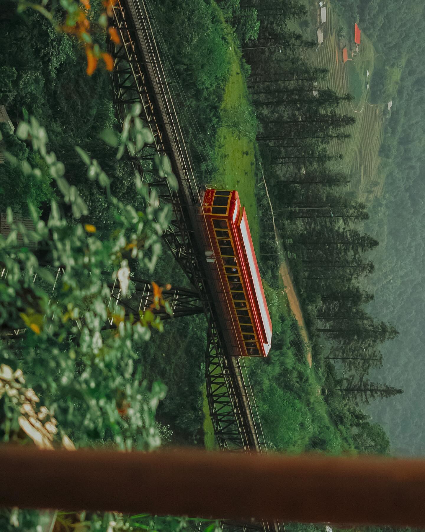 จูเนียร์ - กรวิชญ์ สูงกิจบูลย์