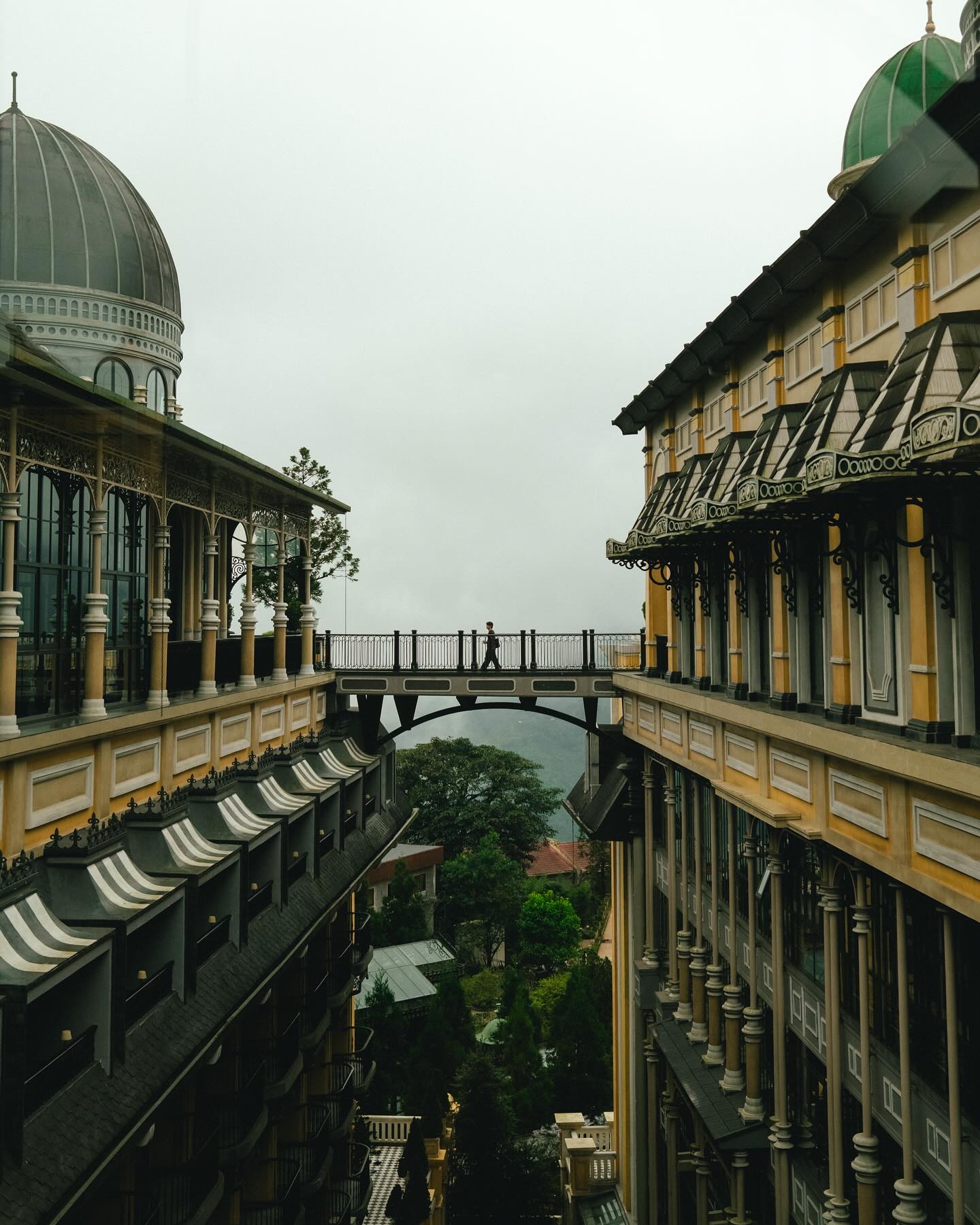 จูเนียร์ - กรวิชญ์ สูงกิจบูลย์