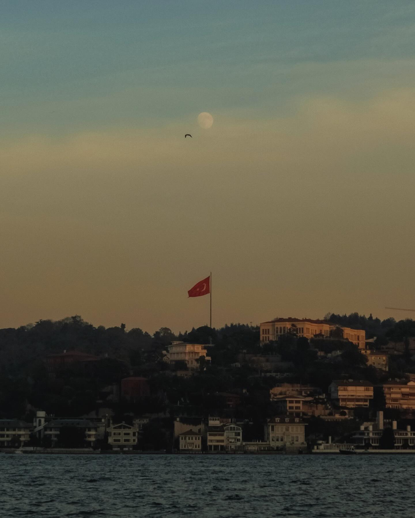 จูเนียร์ - กรวิชญ์ สูงกิจบูลย์