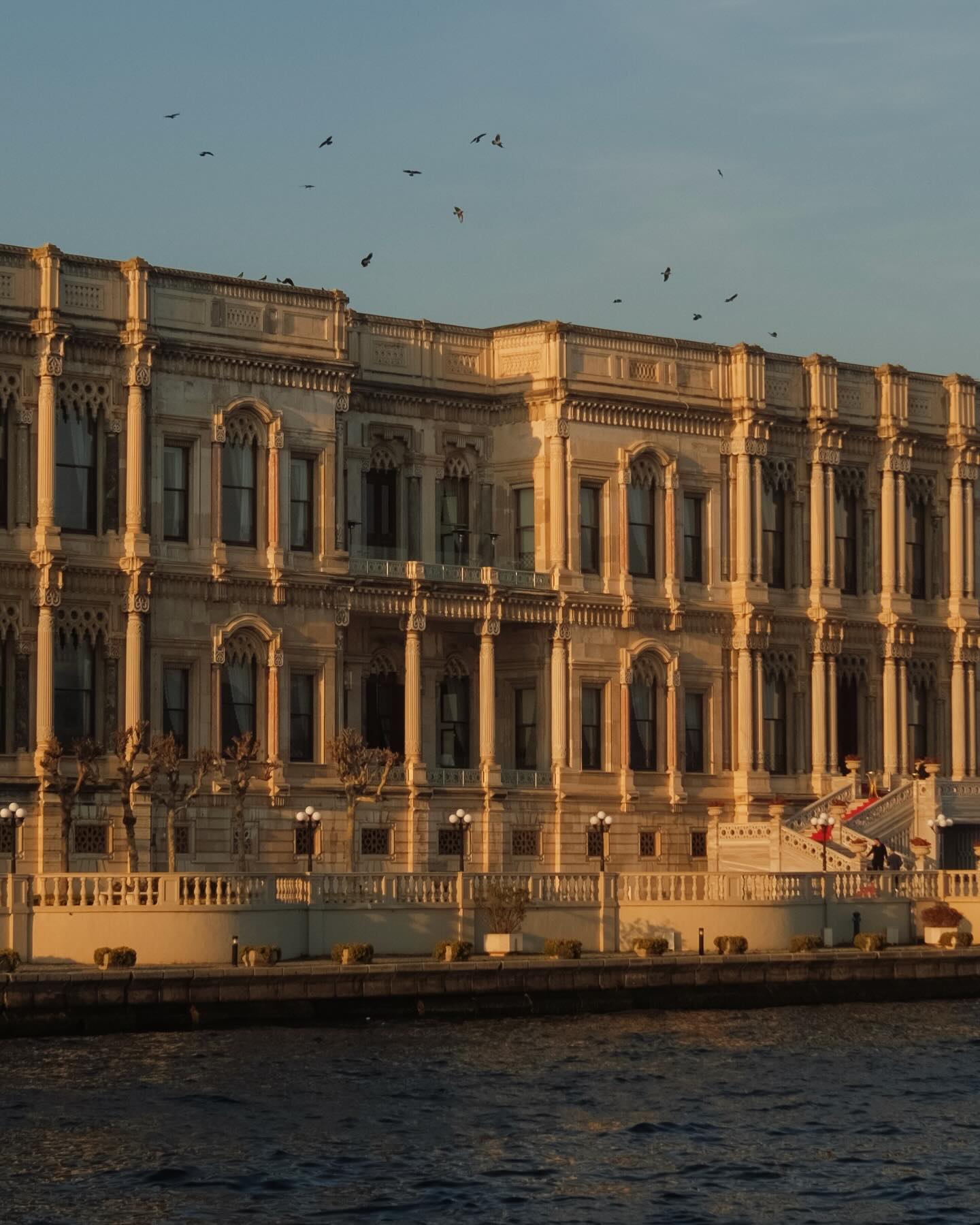 จูเนียร์ - กรวิชญ์ สูงกิจบูลย์