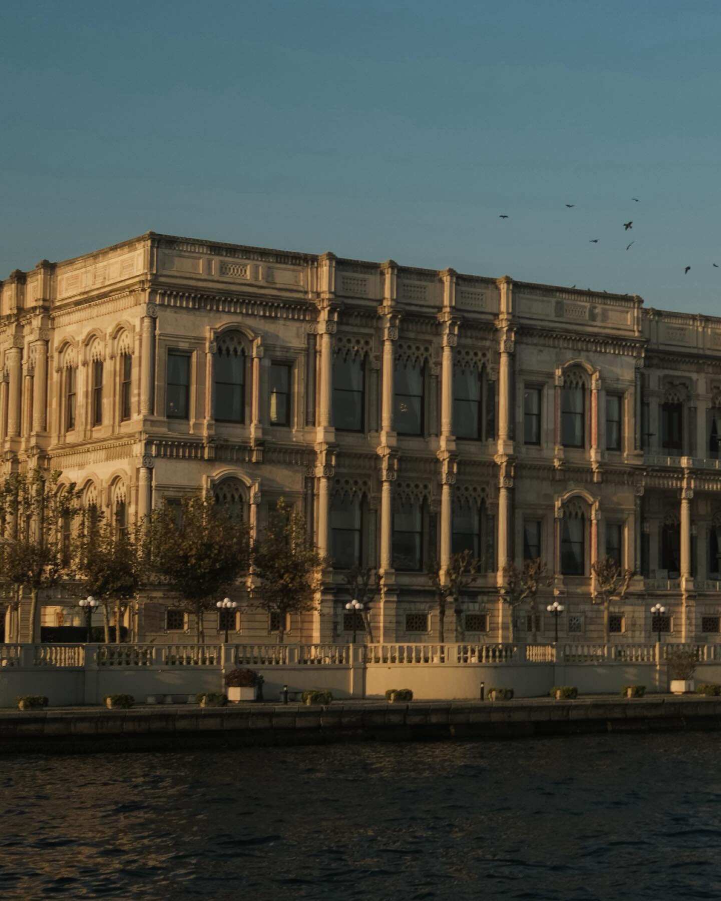 จูเนียร์ - กรวิชญ์ สูงกิจบูลย์