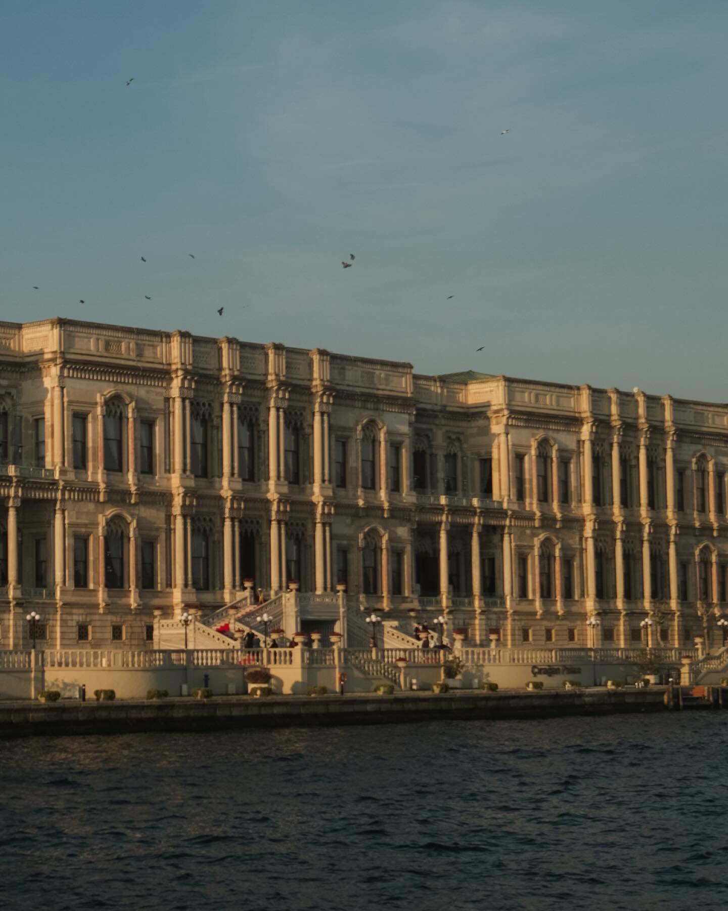 จูเนียร์ - กรวิชญ์ สูงกิจบูลย์