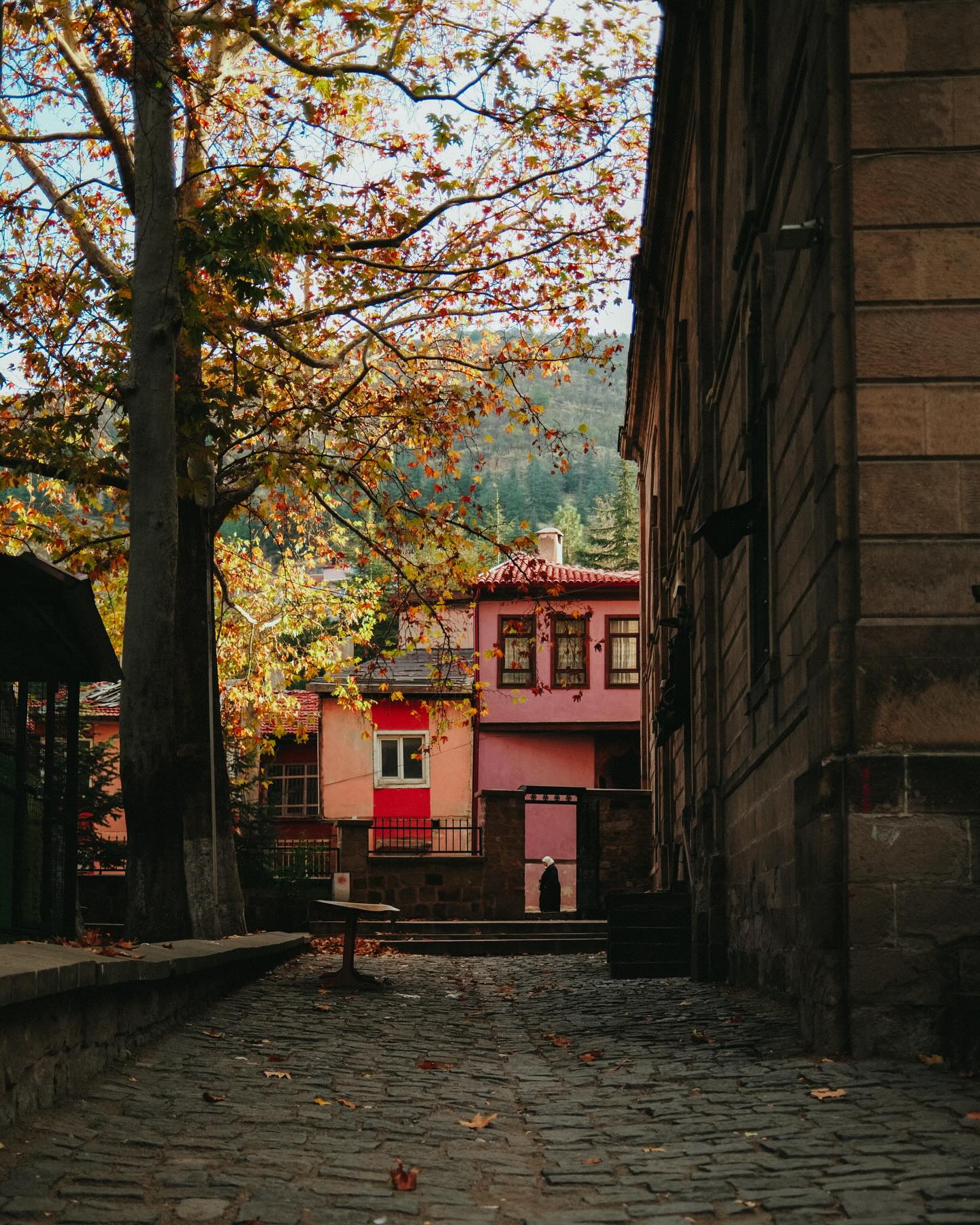 จูเนียร์ - กรวิชญ์ สูงกิจบูลย์