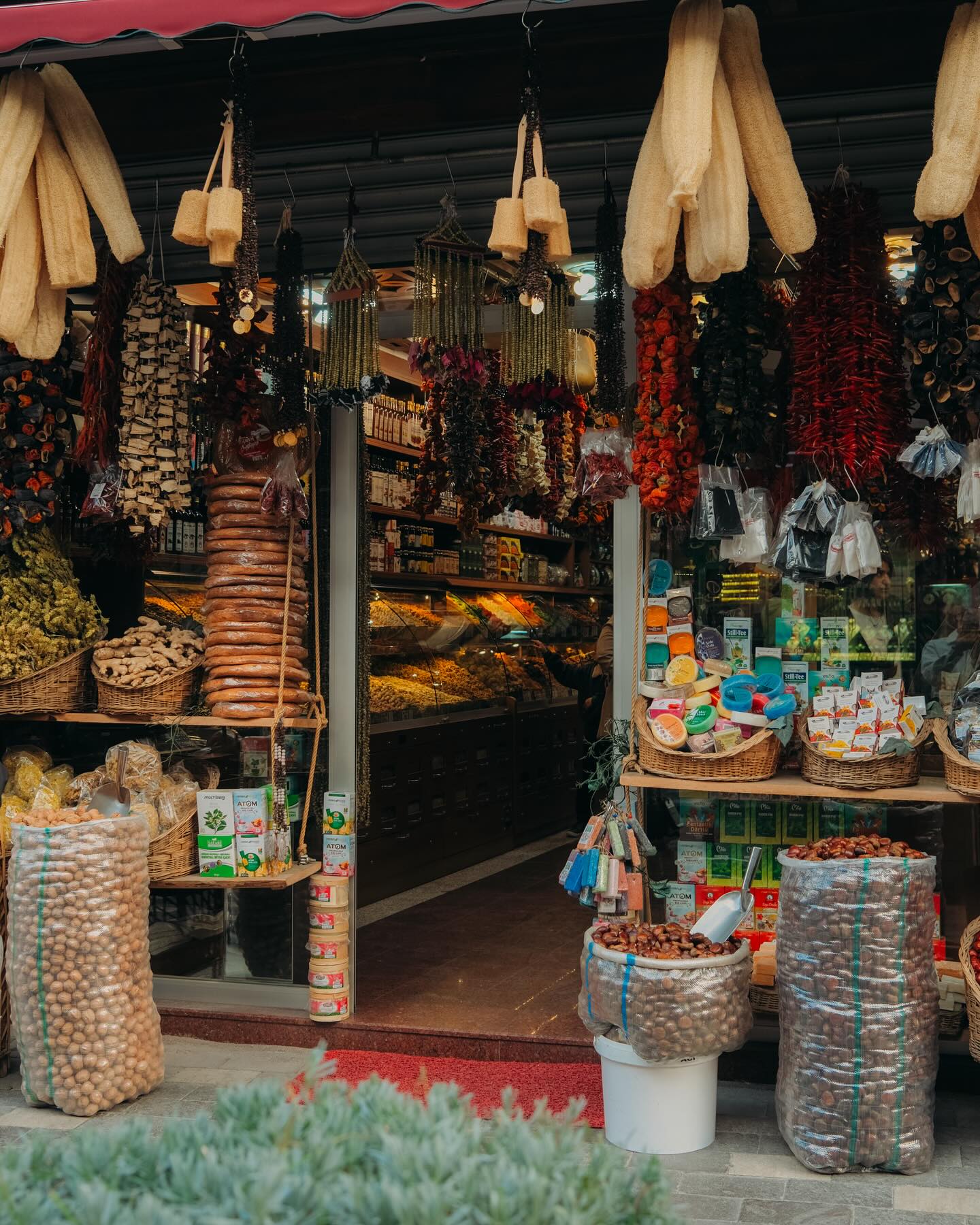 จูเนียร์ - กรวิชญ์ สูงกิจบูลย์