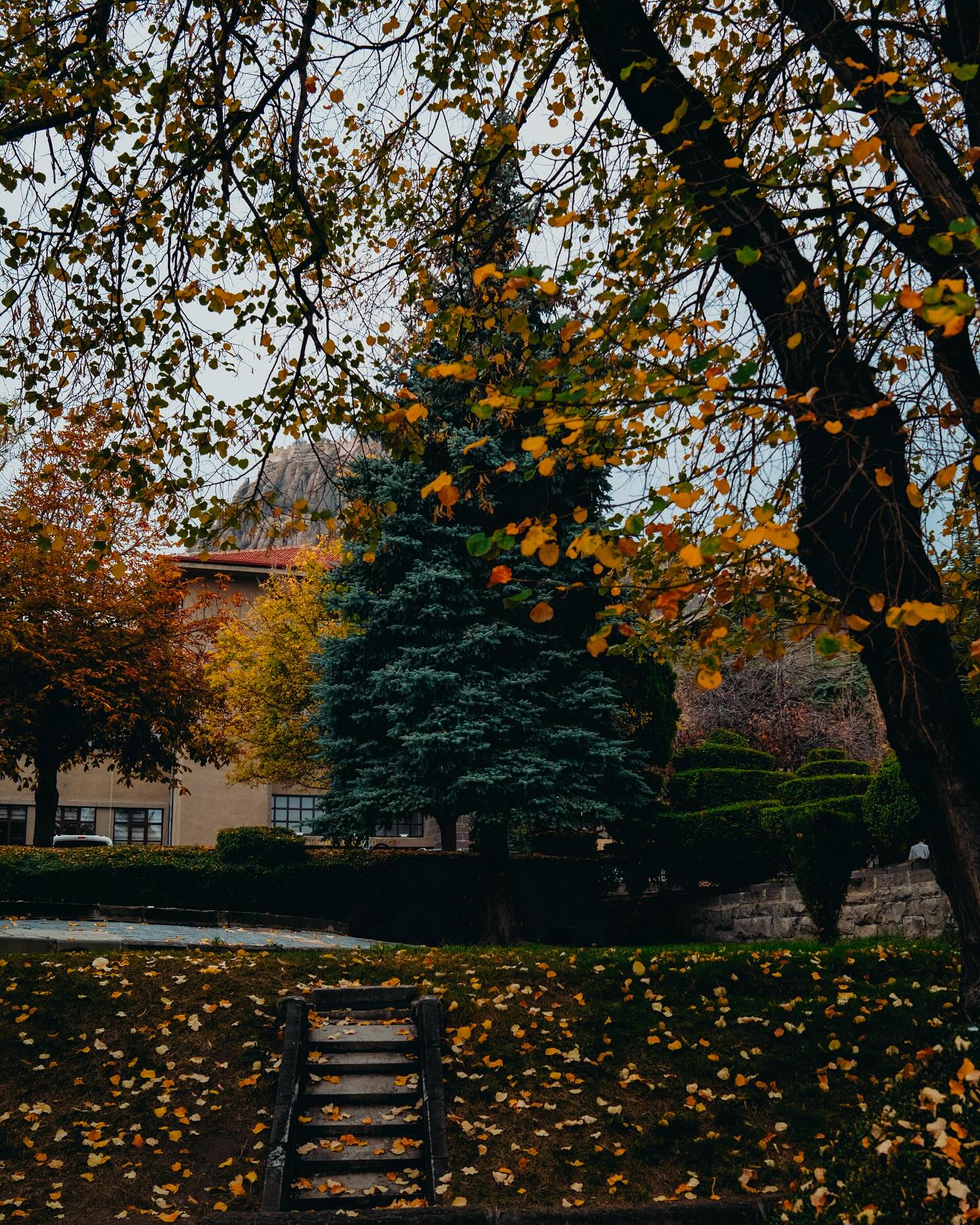 จูเนียร์ - กรวิชญ์ สูงกิจบูลย์