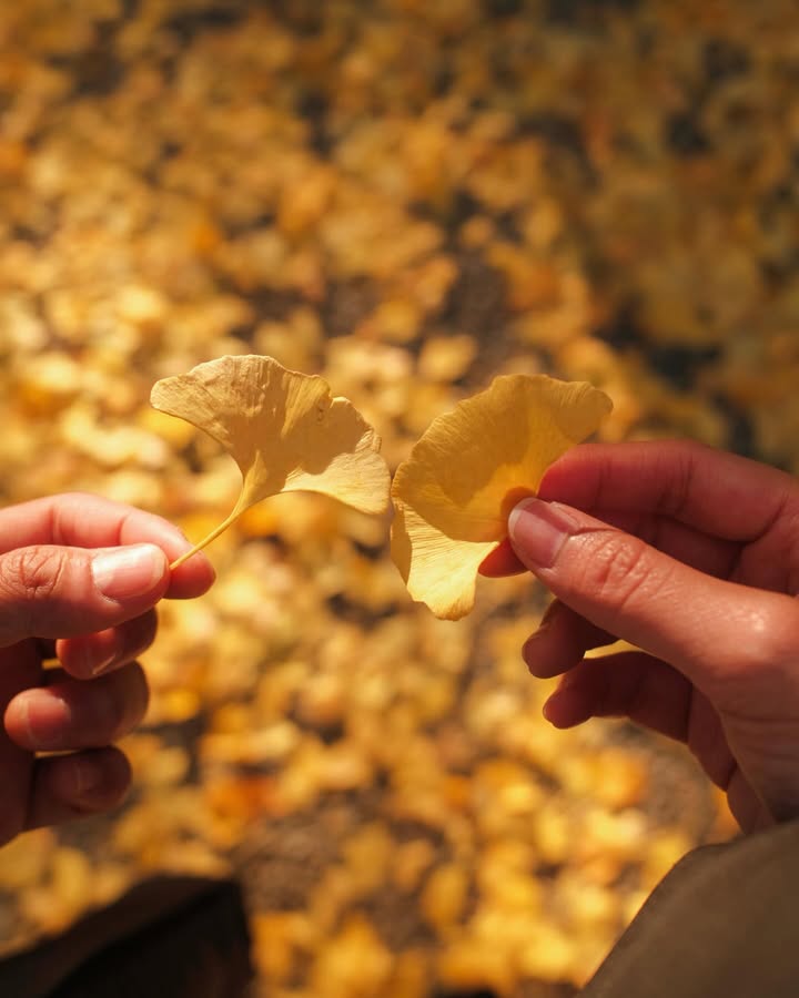 จูเนียร์ - กรวิชญ์ สูงกิจบูลย์