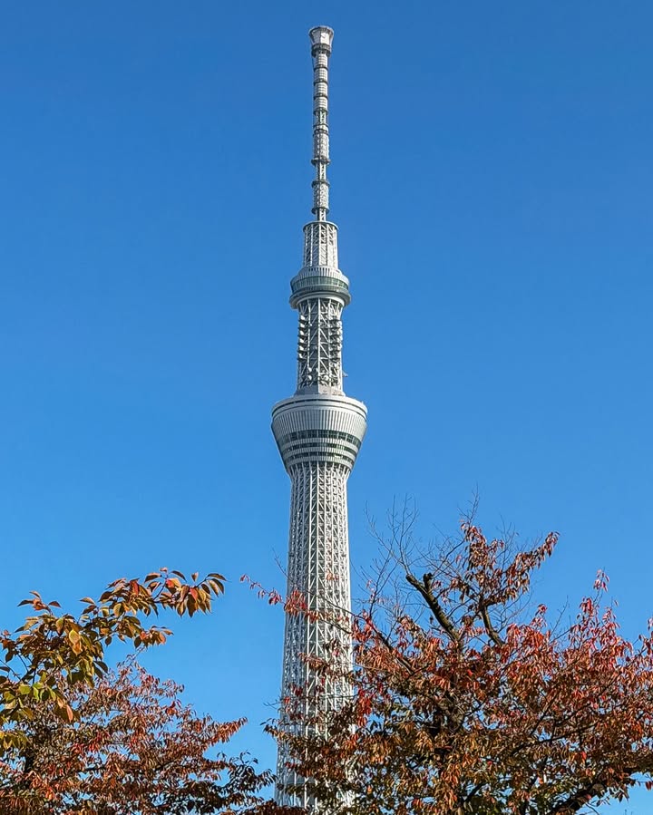 จูเนียร์ - กรวิชญ์ สูงกิจบูลย์