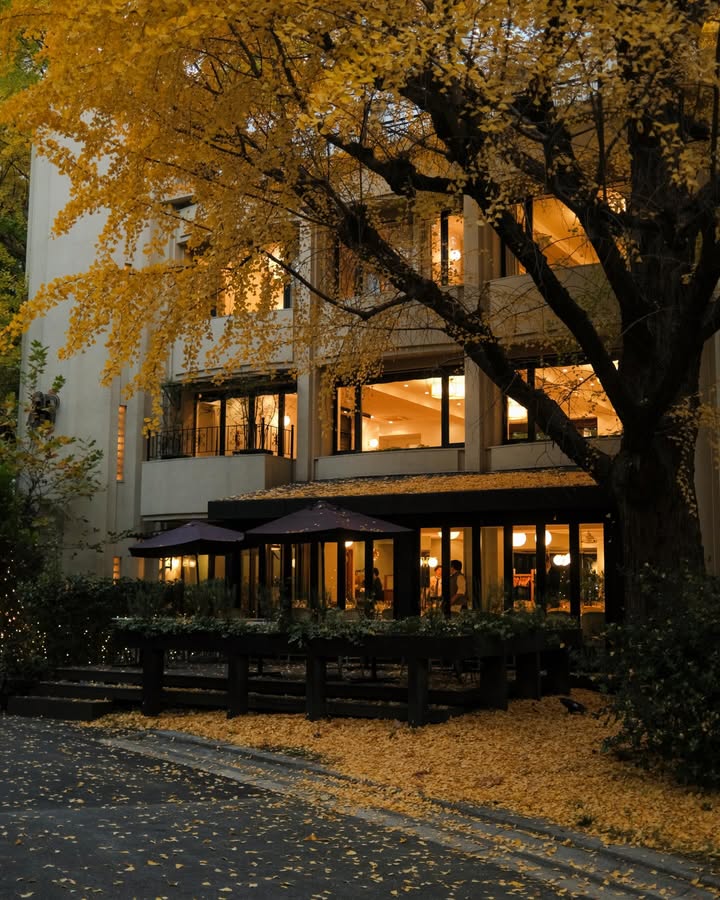 จูเนียร์ - กรวิชญ์ สูงกิจบูลย์