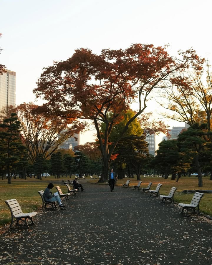 จูเนียร์ - กรวิชญ์ สูงกิจบูลย์