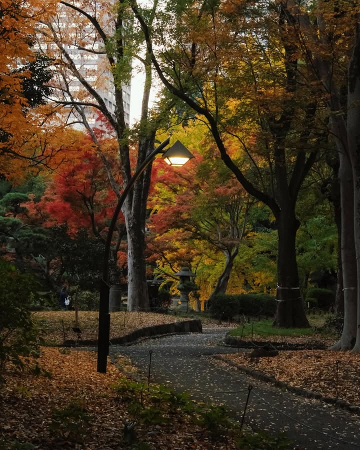 จูเนียร์ - กรวิชญ์ สูงกิจบูลย์