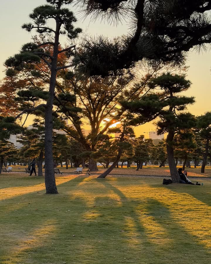 จูเนียร์ - กรวิชญ์ สูงกิจบูลย์