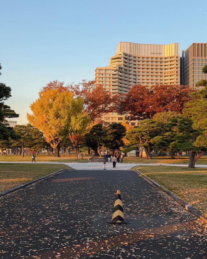 จูเนียร์ - กรวิชญ์ สูงกิจบูลย์