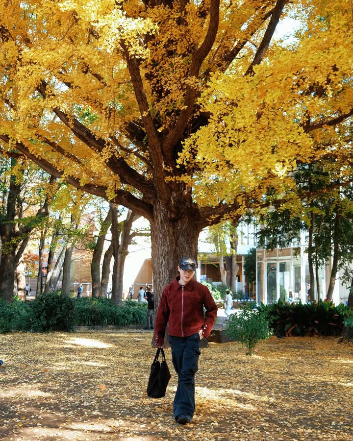 จูเนียร์ - กรวิชญ์ สูงกิจบูลย์