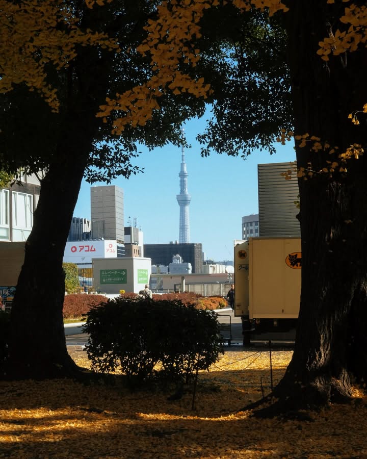 จูเนียร์ - กรวิชญ์ สูงกิจบูลย์