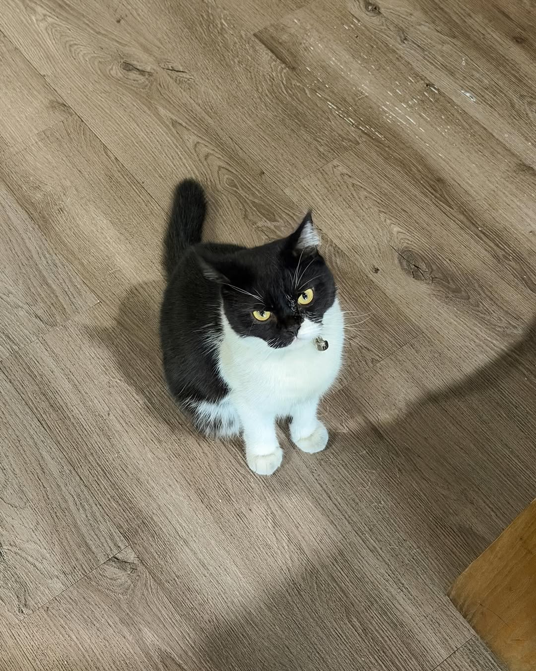 จูเนียร์ - กรวิชญ์ สูงกิจบูลย์