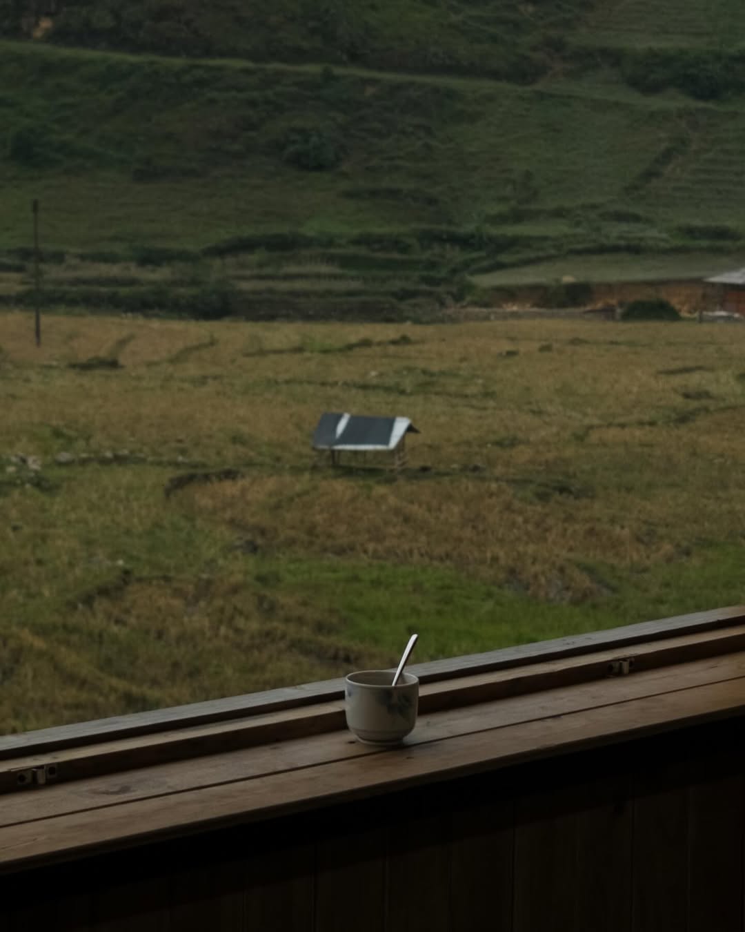 จูเนียร์ - กรวิชญ์ สูงกิจบูลย์